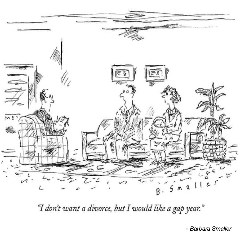 A man sits on a couch with a cat, while a couple discusses wanting a gap year instead of a divorce.