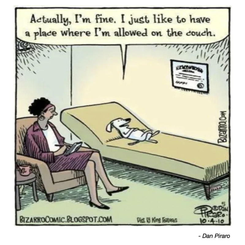 A woman sits on a couch while a relaxed dog lies on a chaise, humorously discussing couch privileges.