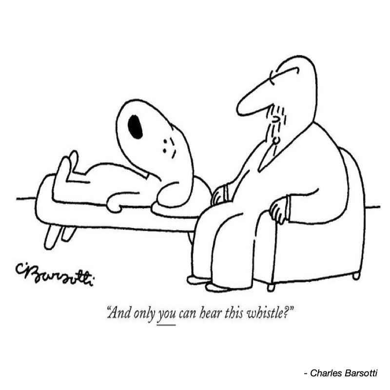 A dog lies on a couch while a man asks, "And only you can hear this whistle?